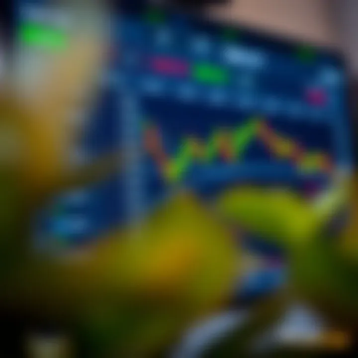 Choosing the Right Forex Trading Platform in Kenya